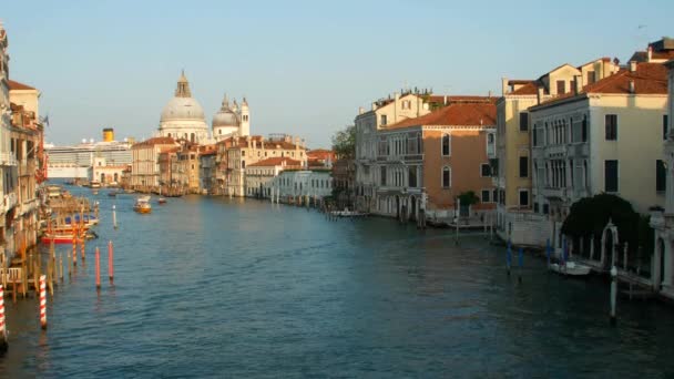 Canal Grande Och Basilica Santa Maria Della Salute Venedig Italien — Stockvideo
