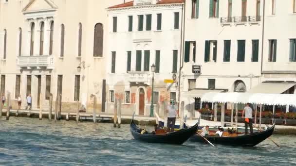 Venice Italy Gandoliers Ride Tourists Gondolas Grand Canal — Stock Video