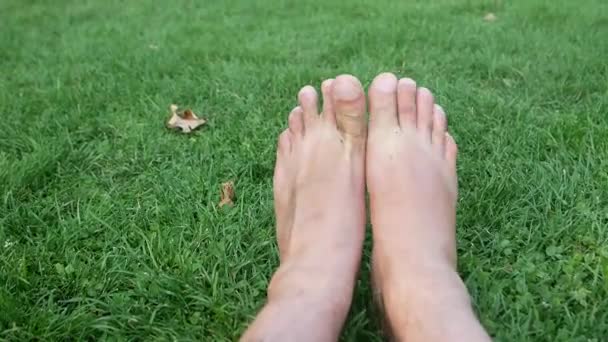 Чоловіча Нога Зеленій Траві — стокове відео