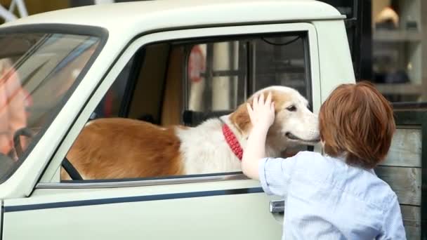 Chico Dice Adiós Perro Mejor Amigo Del Niño Perro — Vídeo de stock