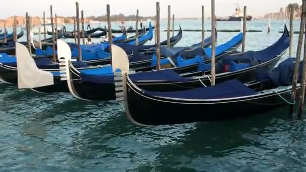 意大利威尼斯 2019年 贡多拉斯停在圣马可盆地的码头 在圣马可广场前 在大运河和圣马可运河之间 — 图库视频影像