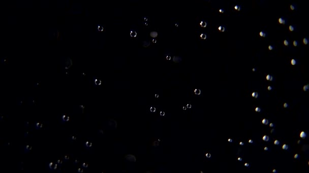 Gotas de agua sobre vidrio sobre fondo negro — Vídeos de Stock