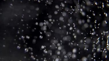 Kaynar suyla elektrikli çaydanlık. Su kaynıyor.