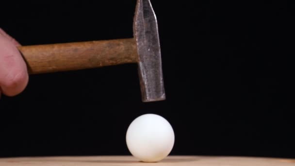 La pelota blanca de tenis de mesa está rota por golpes de martillo . — Vídeo de stock