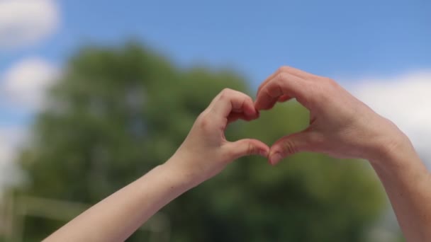 Mamma och dotter ligger eller vilar på gräset i parken — Stockvideo