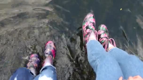 Menina com a mãe relaxante no parque da cidade de verão . — Vídeo de Stock