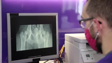 Veteriner veteriner, veteriner kliniğinde köpeğin röntgen fotoğrafını inceler.