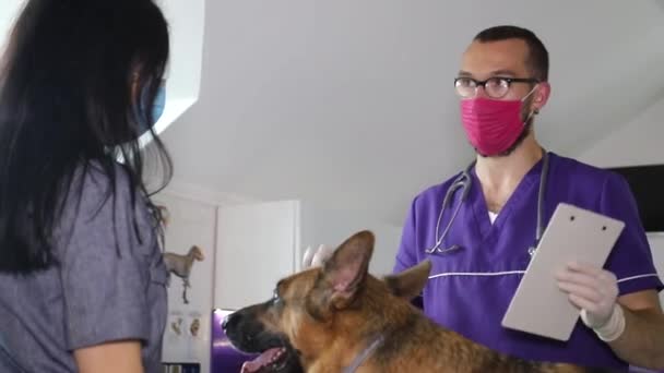 Mężczyzna lekarz weterynarii bada psa w klinice weterynaryjnej, opieka nad zwierzętami — Wideo stockowe