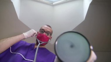 Genç bir veteriner veteriner, veteriner kliniğinde küçük şirin gri bir kediyi muayene ediyor..