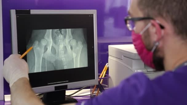 Veterinário bonito com máscara vermelha no rosto, pet clínica — Vídeo de Stock