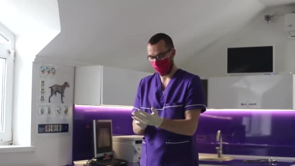 Przystojny weterynarz z czerwoną maską na twarzy, klinika dla zwierząt domowych — Wideo stockowe