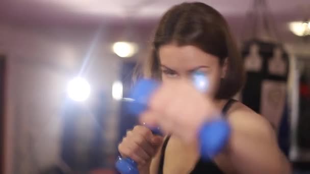 Mulher bonita boxeador com halteres em suas mãos. Mulher forte. Amador boxe — Vídeo de Stock