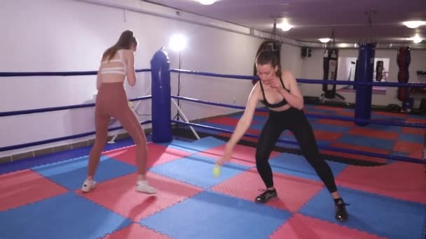 Duas boxeadoras treinam com bolas no ringue. Meninas em treinamento — Vídeo de Stock