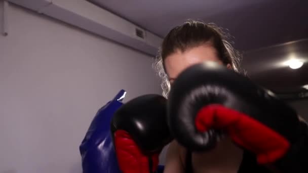 O pugilista agita os punhos. Boxe feminino. Lutas morenas agressivas — Vídeo de Stock