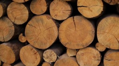 Kesilen odunların, kesilen odunların arka planı