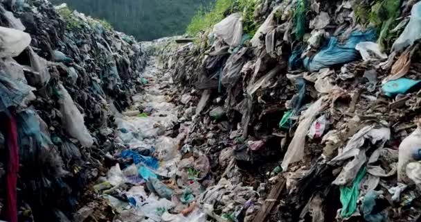 Plasty Horách Horské Odpadky Velká Hromada Odpadků Degradované Odpadky Hromada — Stock video