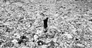 Çöplükteki adam. Okyanus sahilinde çöp. Çevre kirliliği. Çevresel sorun.