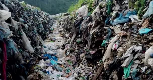 Basura Los Canales Después Inundación Ríos Contaminados Con Residuos Plásticos — Vídeos de Stock