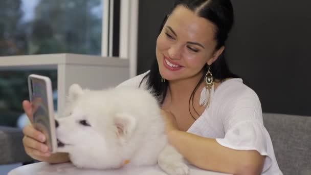 Ein Mädchen ruht mit einem weißen Hund in einem Café. — Stockvideo