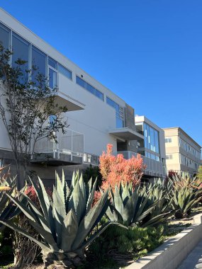 Çağdaş tasarımı olan parlak beyaz bir bina berrak mavi gökyüzü altında canlı sulugözlere karşı..