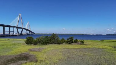 Serin suları çevreleyen muhteşem bir köprünün göz kamaştırıcı manzarası canlı, yemyeşil. Charleston, Güney Carolina.
