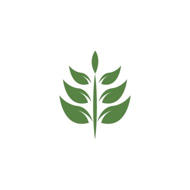 Güzel doğa ve ekoloji