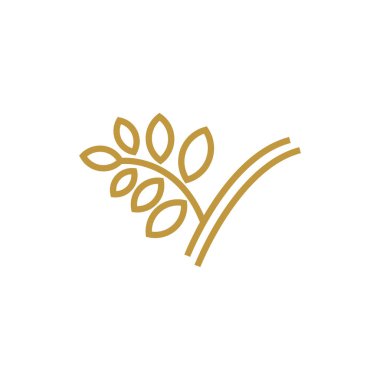 Güzellik sanat düğün vektör