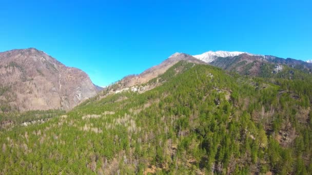 山の風景の空撮をパンします。カメラは、フォレストに移動します。シベリア — ストック動画