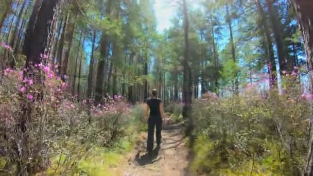 女孩漫步在杜鹃粉红色的花朵之间的森林小径 — 图库视频影像