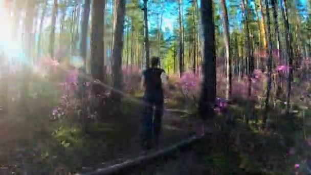 Chica corre a lo largo de un sendero forestal en el día soleado, entre los árboles y flores rosadas — Vídeo de stock