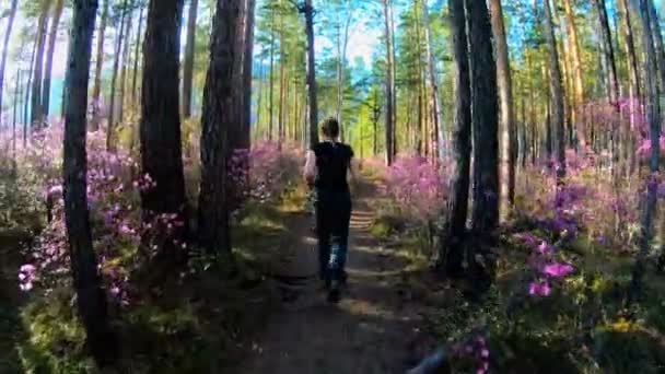 Chica corre a lo largo de un sendero forestal en el día soleado, entre los árboles y flores rosadas — Vídeo de stock