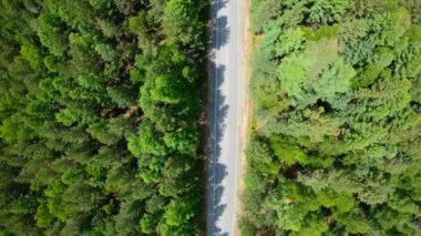 Ormandaki yolda araba siyah araba havadan görünümü