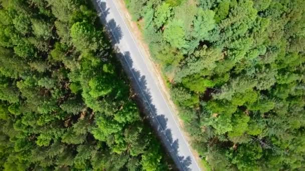 Εναέρια άποψη του δρόμου μέσα από το δάσος. Φωτογραφική μηχανή περιστροφή δεξιόστροφα — Αρχείο Βίντεο