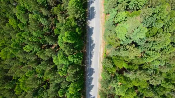 Vue aérienne de la voiture noire conduisant sur la route en forêt — Video