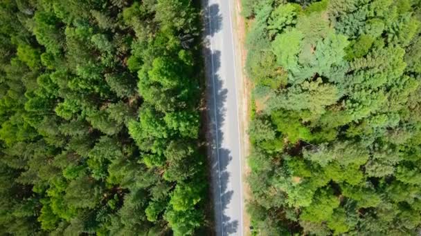Luchtfoto van witte auto rijden op de weg in het bos. Vertragen — Stockvideo