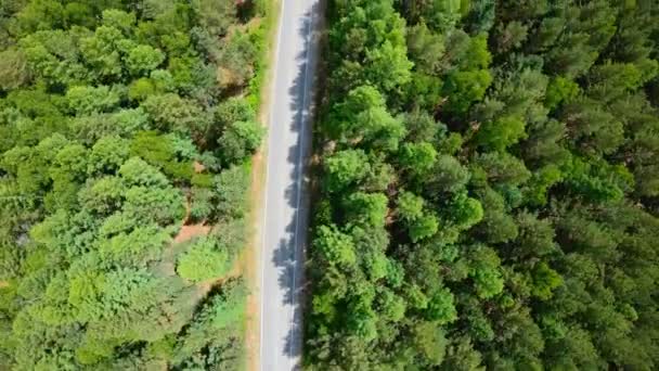 Flygfoto över vägen genom skogen. Vertikala skott — Stockvideo