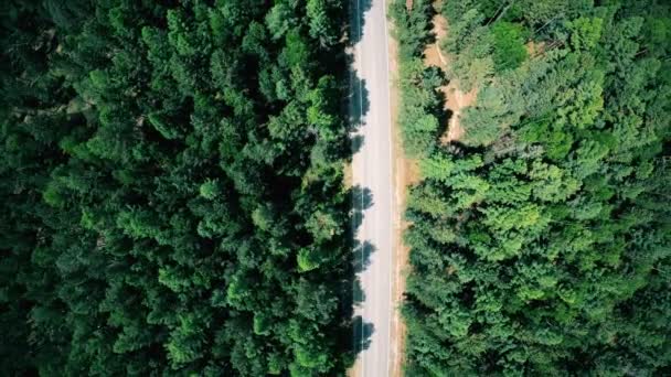 Luftaufnahme der Straße durch den Wald. Senkrechtschuss — Stockvideo