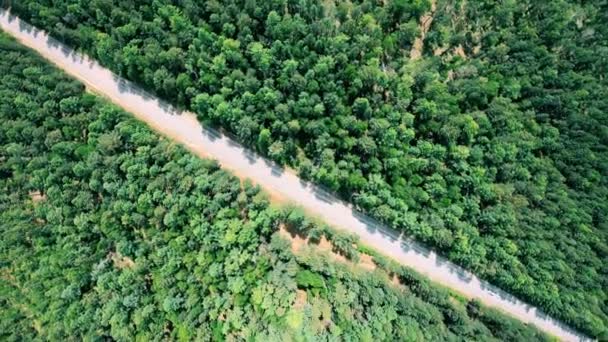 Εναέρια άποψη του δρόμου μέσα από το δάσος. Φωτογραφική μηχανή περιστροφή δεξιόστροφα — Αρχείο Βίντεο