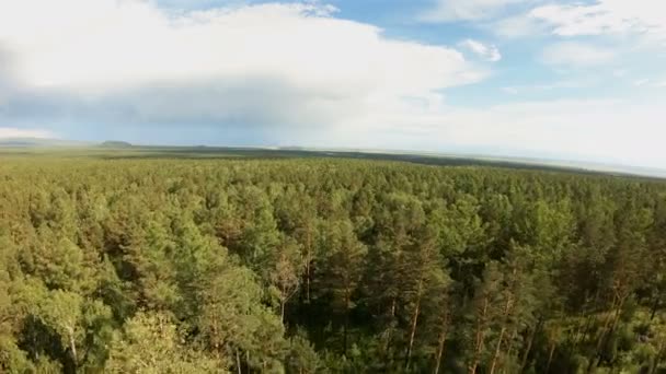 Légi felvétel a vegyes erdő. A madártávlatból nézet — Stock videók