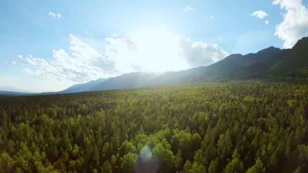 Outono. Transição do verão para o outono. Tiro aéreo de floresta e montanhas — Vídeo de Stock