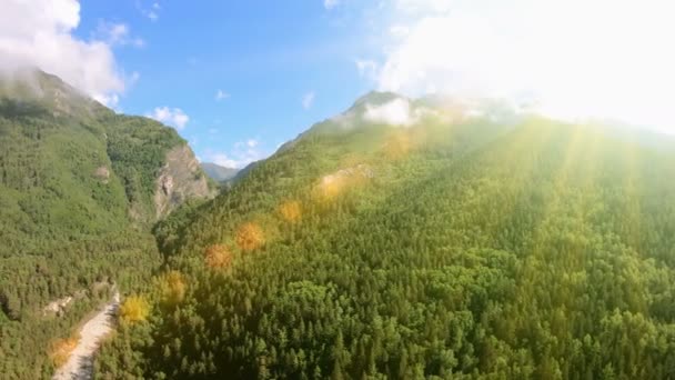 緑の森、青い空と明るい日差しと美しい山々 のパノラマ — ストック動画
