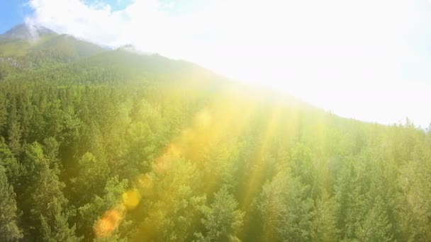 緑の森 青い空と明るい日差しと美しい山々 のパノラマ 風光明媚な自然風景 晴れた日 レンズ フレア — ストック動画