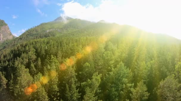 Panorama de belles montagnes avec forêt verte, ciel bleu et lumière du soleil éclatante — Video