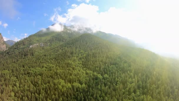 Красивый пейзаж. Горы, зеленый лес, голубое небо и яркий солнечный свет — стоковое видео