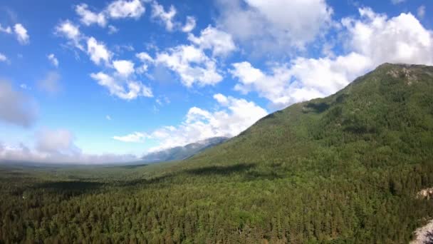 Panorama de belles montagnes avec forêt verte, ciel bleu et nuages blancs — Video