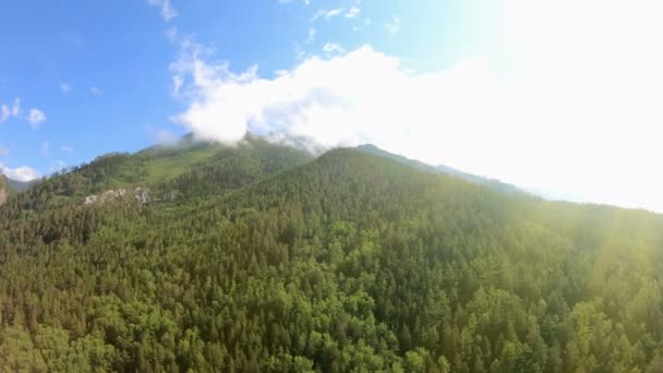 Панорама красивых гор с зеленым лесом, голубым небом и ярким солнечным светом — стоковое видео