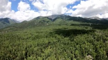 Hava atış. Uçuş dağlara. Uçak uçar ormanın üzerinde ileri