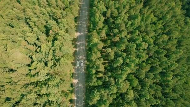 空中无人机在森林道路上射击。无人机在公路上方向前飞行, 汽车 — 图库视频影像