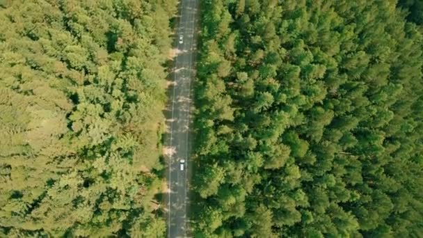 空中无人机在森林道路上射击。无人机在公路上方向前飞行, 汽车 — 图库视频影像