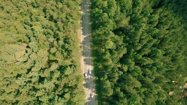 空中无人机在森林道路上射击。无人机盘旋在道路上, 汽车 — 图库视频影像